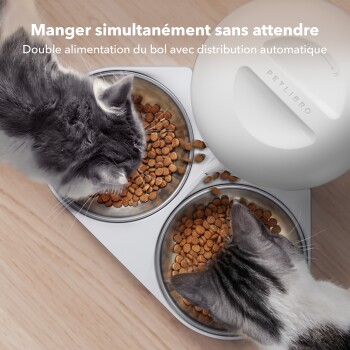 Zwei Katzen essen aus einem doppelten Futternapf mit Text über einfaches Füttern und keine Futterkämpfe mehr.
