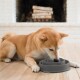 Ein Shiba Inu-Hund frisst aus einer grauen langsamen Futter-Schüssel auf einem Holzboden, mit einem gemütlichen Kamin im Hintergrund.