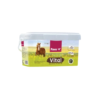 Pavo Vital Mineralfutter für Pferde in einem 3 kg Behälter, mit einem Pferd auf dem Etikett und Text in Deutsch.