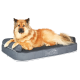 Ein flauschiger goldener Hund ruht bequem auf einem grauen Haustierbett, mit dem deutlich sichtbaren Text "Petbed" an der Seite.
