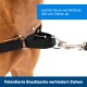 Easy Walk Anti-Zieh-Hundegeschirr schwarz M