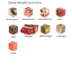 Neun rohe Fleischwürfel mit deutscher Beschriftung: Pansen (grün), Muskelfleisch, Schlundfleisch, Herz, Leber, Knochen, Blättermagen, Labmagen, Lunge.