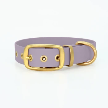 Biothane Halsband Gold Lavendel S Lavendel-Hundehalsband mit goldener Schnalle und Ösen, auf einem weißen Hintergrund präsentiert.