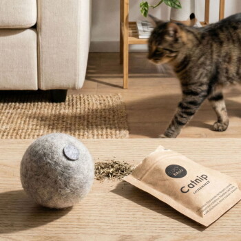 Ein grauer Filz-Katzenspielball neben einem offenen Paket Katzenminze, mit getrockneter Katzenminze, die herausfällt, beschriftet mit "Katzenminze" in schwarzem Text.