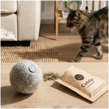 Ein grauer Filz-Katzenspielball neben einem offenen Paket Katzenminze, mit getrockneter Katzenminze, die herausfällt, beschriftet mit "Katzenminze" in schwarzem Text.
