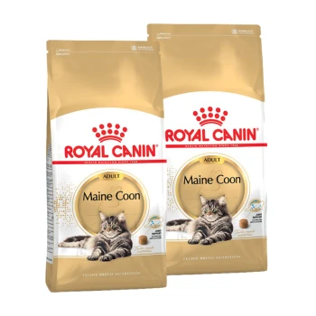 Zwei Säcke Royal Canin Maine Coon Katzenfutter für Erwachsene, mit einer Maine Coon Katze auf der Vorderseite, mit einem gold-weißen Design.