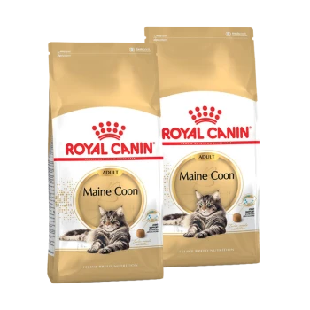 Deux sacs de nourriture pour chats Royal Canin Maine Coon pour adultes, présentant un chat Maine Coon sur le devant, avec un design doré et blanc.