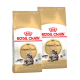 Deux sacs de nourriture pour chats Royal Canin Maine Coon pour adultes, présentant un chat Maine Coon sur le devant, avec un design doré et blanc.