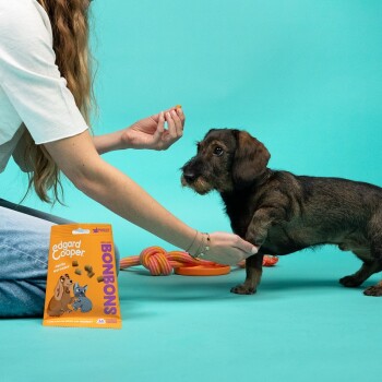 Une personne offrant une friandise à un petit chien brun, avec un jouet en corde coloré en arrière-plan. L'emballage de la friandise est étiqueté "edgard & cooper BONBONS."