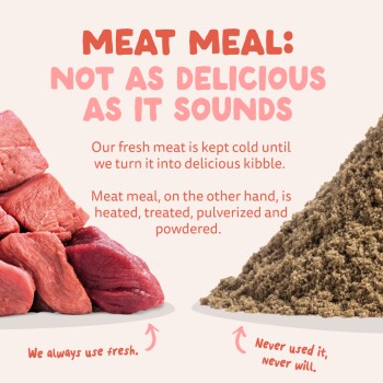 Raw red meat pile left, brown powdered meat meal right under headline 'MEAT MEAL: NOT AS DELICIOUS AS IT SOUNDS'.