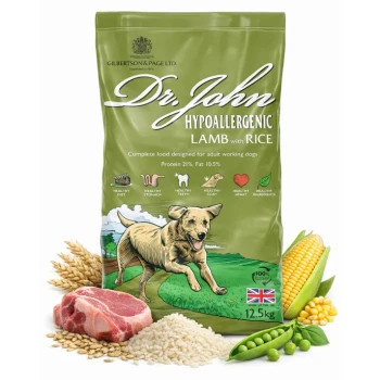 Grüne Tüte Dr. John hypoallergenes Lamm mit Reis-Hundefutter, mit einer laufenden Hundillustration, 21% Protein, 10,5% Fett und Gesundheitsansprüchen.