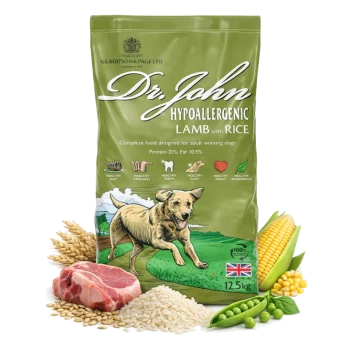 Grüne Tüte Dr. John hypoallergenes Lamm mit Reis-Hundefutter, mit einer laufenden Hundillustration, 21% Protein, 10,5% Fett und Gesundheitsansprüchen.