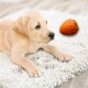 Ein hellfarbener Welpe liegt auf einem flauschigen weißen Teppich, mit einem orangefarbenen Gummispielzeug in Form eines Bienenstocks in der Nähe.