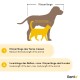 2-in-1 Hundebett Hundekissen L