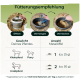 Grafik „Fütterungsempfehlung“ mit Symbolen: Öffnen, Vermengen, Vermischen; Kleinpferd/Pony 1 Messlöffel (ca. 25 g), Großpferd 2 Messlöffel (ca. 50 g)