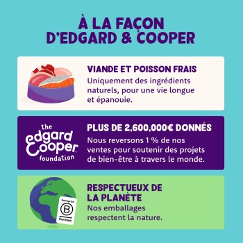 Infographie Edgard & Cooper pour animaux : « Viande et poisson frais » ; « Plus de 2 600 000 € donnés » ; « Respectueux de la planète ».
