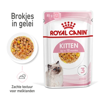 Royal Canin kittenvoeding zakje, 85g x 12, met zachte brokjes in jelly, geschikt voor kittens tot 12 maanden.