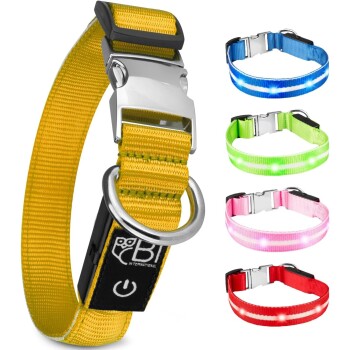 Leuchthalsband Hundehalsband gelb XS