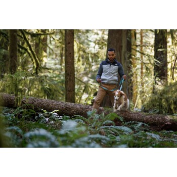 Eine Person in einer grau-schwarzen Jacke führt einen kleinen hellbraunen und weißen Hund an der Leine in einem üppig grünen Wald.