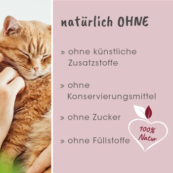 Eine Person streichelt eine entspannte orangefarbene Katze neben einem Text, der "natürlich OHNE" und Zutaten auflistet: keine Zusatzstoffe, Konservierungsstoffe, Zucker, Füllstoffe, 100% natürlich.