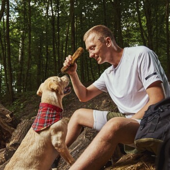 Eine Person in einem weißen T-Shirt und Shorts sitzt auf einem Baumstamm im Wald und hält einen Kaustick in Richtung eines Golden Retrievers, der ein rotes kariertes Halstuch trägt.