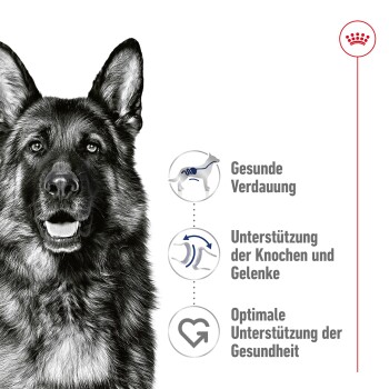 Nahaufnahme des Gesichts eines Deutschen Schäferhundes mit Text: "Gesunde Verdauung," "Knochen- und Gelenkunterstützung," "Optimale Gesundheitsunterstützung."