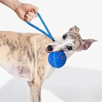 Blau-orange gesprenkelter Gummihundeball mit angebrachtem blauem Seilgriff, beschriftet mit "Cheerble" auf weißem Hintergrund.