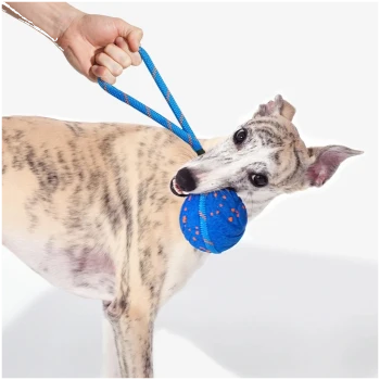 Blau-orange gesprenkelter Gummihundeball mit angebrachtem blauem Seilgriff, beschriftet mit "Cheerble" auf weißem Hintergrund.