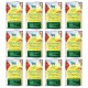 Zwölf Dosen Hundefutter 'Sommer Menü', mit Schaf, Fenchel und Kartoffeln, mit Text, der glutenfreie und allergenfreundliche Vorteile hervorhebt.