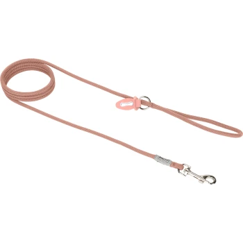 looplijn kleine honden lichtroze S Een roze gevlochten hondenriem met een zilveren clip en een lus handvat, weergegeven tegen een witte achtergrond.