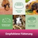 Pflegeanweisungen für Meerschweinchen: Trinkwasser, Gemüse essen, Heugrafik und zweimal täglich füttern. Titel: 'Empfohlene Fütterung.'