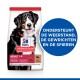 Hill's Science Plan hondenvoerzak met een Berner Sennenhond, gelabeld 'Volwassen 1-5 Groot 25 kg+' en een blauwe cirkel met gezondheidsvoordelen.