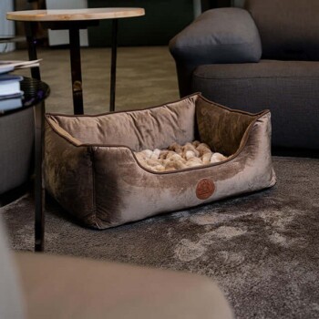 Ein plüschiges, braunes Haustierbett steht auf einem weichen Teppich in einem modernen Wohnzimmer, umgeben von grauen Möbeln und einem kleinen Tisch.
