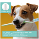 Hunde-Zahnpflegeprodukt mit einer Sprühflasche und einer Zahnbürste, mit Anweisungen auf Deutsch für die tägliche Anwendung.