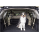 Ein glücklicher Australian Shepherd sitzt im hinteren Teil eines SUVs, mit einer schwarzen Haustierbarriere, die dahinter sichtbar ist, auf einem mit Teppich ausgelegten Boden.