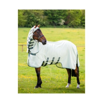 Ein braunes Pferd, das eine hellfarbige Fliegenhaube trägt, steht auf einer grasbewachsenen Fläche, die mit gelben Blumen gesprenkelt ist, und zeigt seinen schlanken Körper.