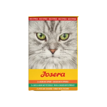 Josera Katzenpâté‑Packung mit großem grauem Katzenkopf und grünen Augen; sichtbarer Text ‚PATÉ‘ und ‚HUHN MIT SPINAT‘.