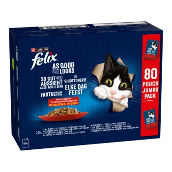 Purina Felix Katzenfutter Jumbo-Pack mit 80 Beuteln, mit einer schwarz-weißen Katze und einem Teller Nassfutter in Gelee.