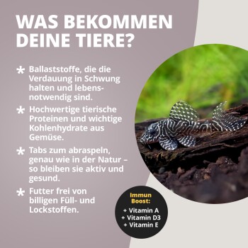 Zebra-Pleco auf Treibholz mit deutscher Überschrift 'WAS BEKOMMEN DEINE TIERE?' und Abzeichen 'Immun Boost: A, D3, E'.
