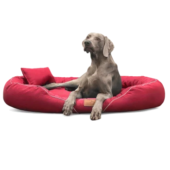 Ein grauer Weimaraner-Hund, der auf einem plüschigen roten Haustierbett mit einem kleinen passenden Kissen liegt, mit einem Holzschild, das "tierhandler" beschriftet ist.
