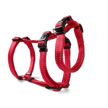 Rotes verstellbares Nylon-Hundegeschirr mit schwarzen Kunststoffschnallen und reflektierenden Nähten auf weißem Hintergrund.