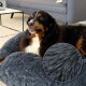 Donutbett dunkelgrau XXXXL