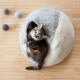 Zwei verspielte Kätzchen mit getigerten und schildpattfarbenen Mustern, die einen weichen blauen Ball auf einem Holzboden schlagen.