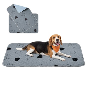 Beagle auf grauer Matte mit schwarzen Pfoten- und Herzmotiven; Einsatzbild zeigt gefaltete Matte mit blauem Rücken; Hund trägt orangefarbene Bandana mit Text