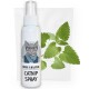Eine Flasche Katzenminze-Spray mit der Bezeichnung "Kater Kasimir CATNIP SPRAY" und einer Illustration einer Katze auf der Vorderseite, umgeben von frischen Katzenminzblättern.