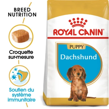 Sac de nourriture pour chiots Royal Canin Dachshund mettant en avant une nutrition spécifique à la race, avec des détails sur les croquettes adaptées et le soutien du système immunitaire.