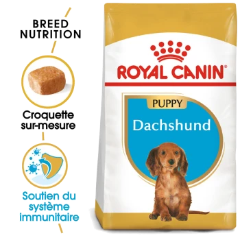 Sac de nourriture pour chiots Royal Canin Dachshund mettant en avant une nutrition spécifique à la race, avec des détails sur les croquettes adaptées et le soutien du système immunitaire.