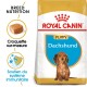 Sac de nourriture pour chiots Royal Canin Dachshund mettant en avant une nutrition spécifique à la race, avec des détails sur les croquettes adaptées et le soutien du système immunitaire.