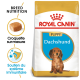 Sac de nourriture pour chiots Royal Canin Dachshund mettant en avant une nutrition spécifique à la race, avec des détails sur les croquettes adaptées et le soutien du système immunitaire.