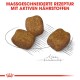 Drei Stücke Hundefutter-Kibble auf einem skizzierten Hintergrund, mit dem Text "MASSGESCHNEIDERTE REZEPTUR MIT AKTIVEN NÄHRSTOFFEN" darüber.